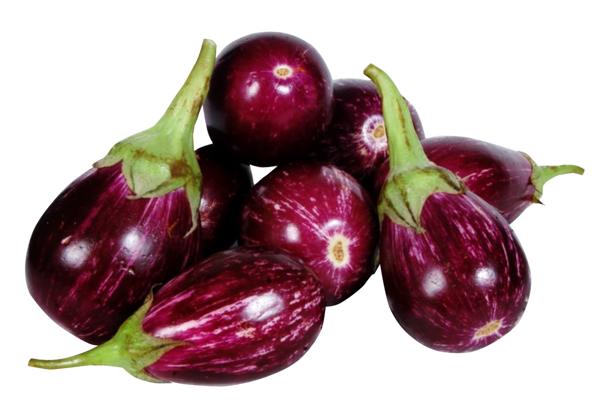 Brinjal / Vankaya