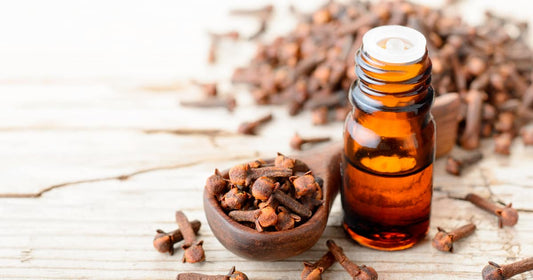 Clove Oil