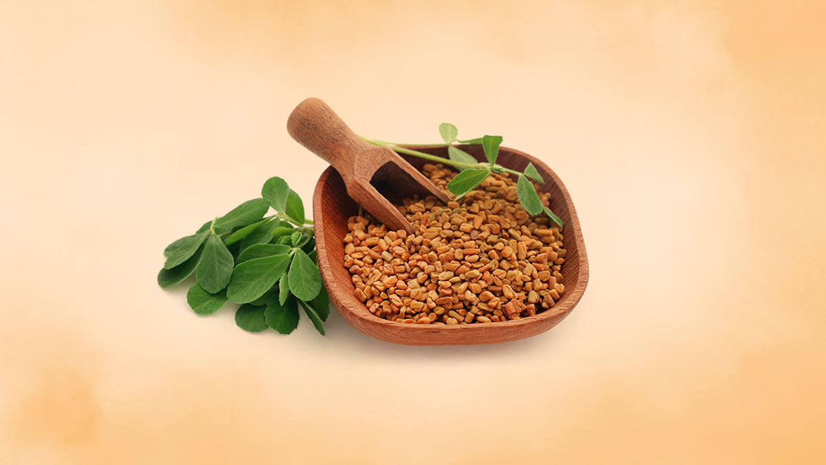 Fenugreek (Methi) Seeds