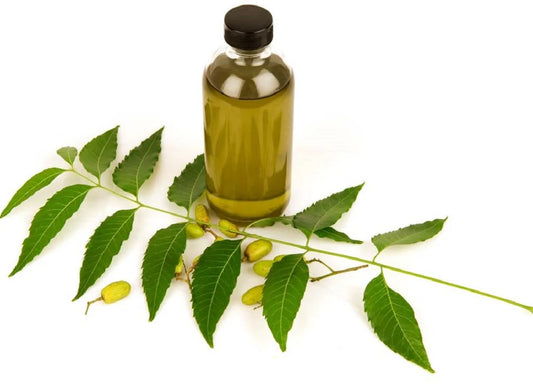 Neem Oil