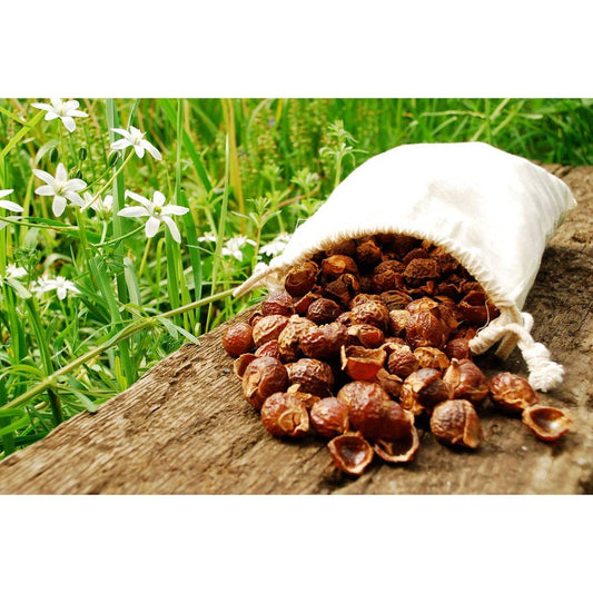 Reetha (Soapnut) Powder