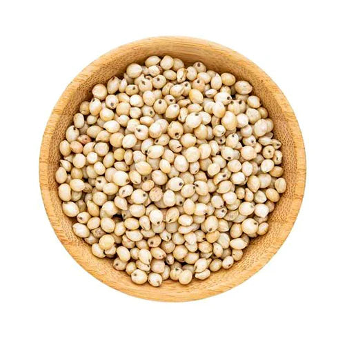 Sorghum millet