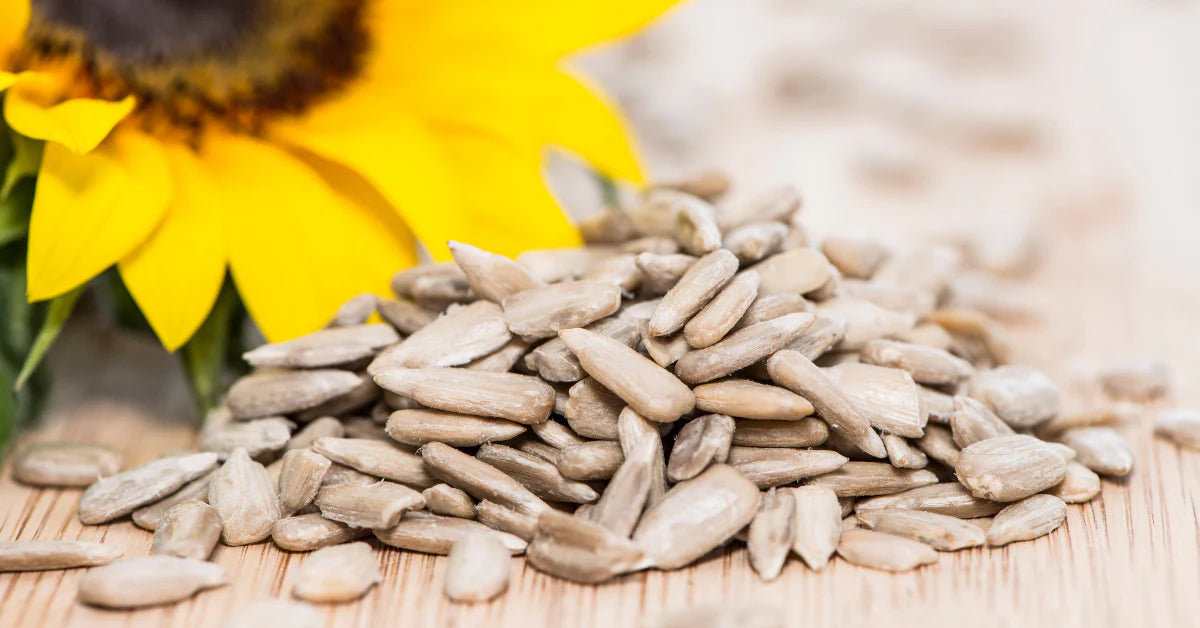 Sunflower seeds