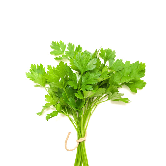 Coriander / Kothimeera