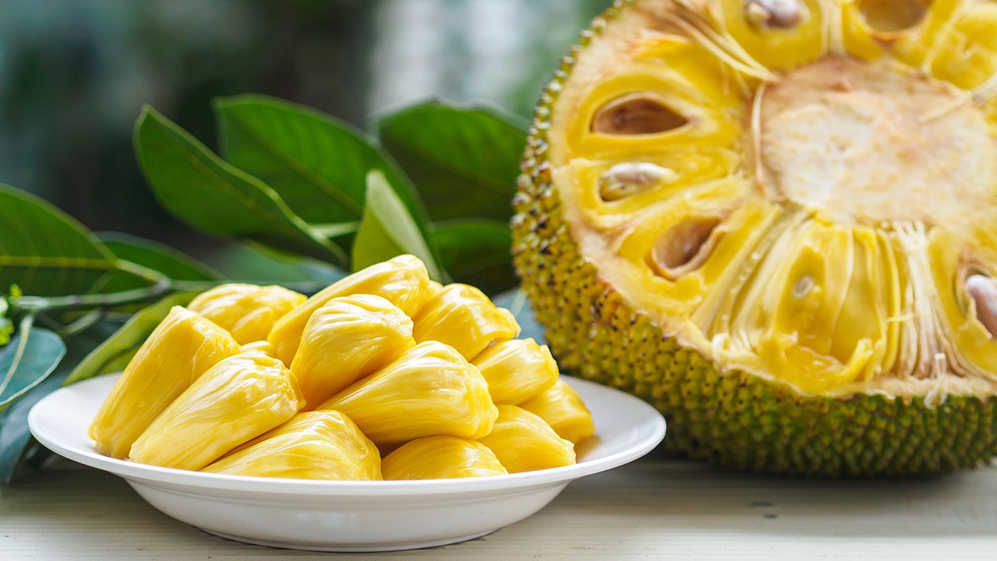 Jack Fruit